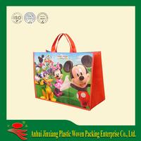 PP Woven Shopping bag,cooler bag 